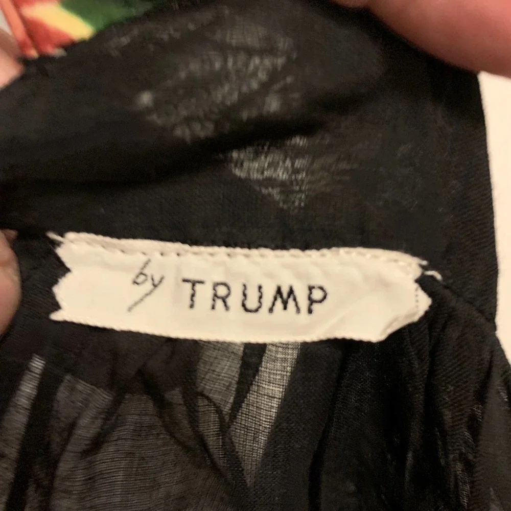 Vintage‎ by Trump 50's Black Sheer Apron with Floral Inset Stripes